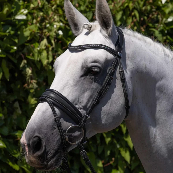 Veneto Anatomical Snaffle Bridle Black/Brown