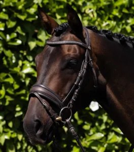 Veneto Anatomical Snaffle Bridle Black/Brown - Image 7