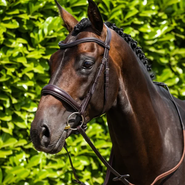 Liscio Plain Shaped Leather Browband Black/Brown