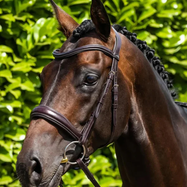 Verdura Anatomic Snaffle Bridle Black/Brown