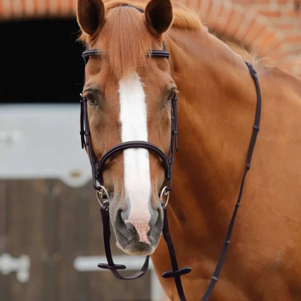Altare Web Reins Black/Brown