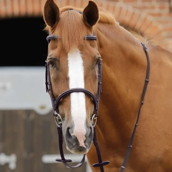 Caloveto Web Reins Black/Brown
