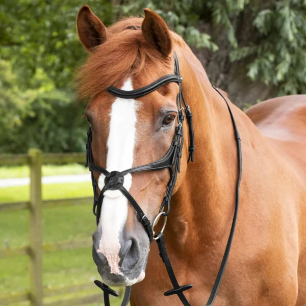 Diego Rubber Reins Black/Brown
