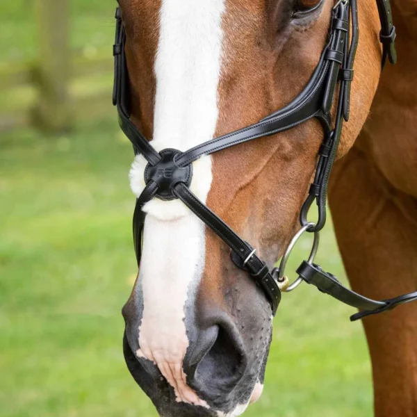 Glorioso Mexican Grackle Noseband Black/Brown