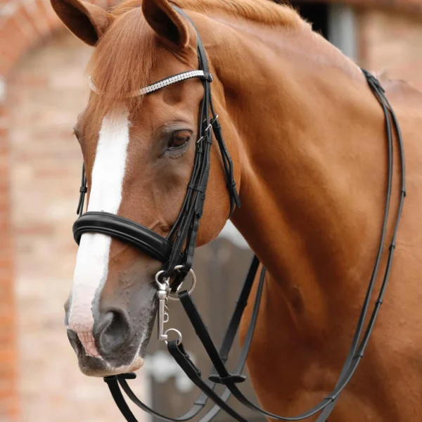 Leonardo Plain Leather Double Bridle Reins