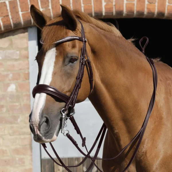 Luigi Plain Leather Reins Black/Brown