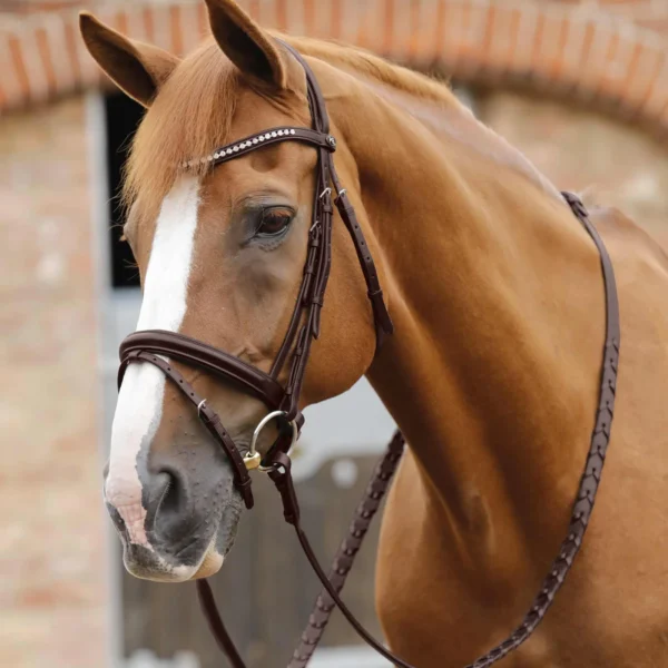 Pietro Laced Reins Black/Brown