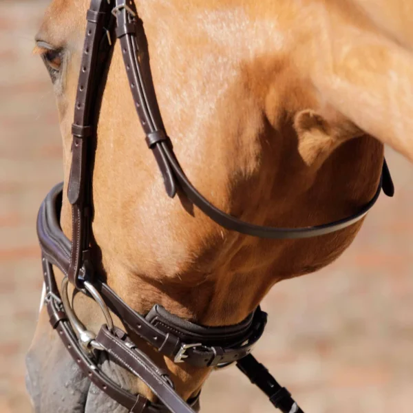 Premier Equine Throatlash Black/Brown