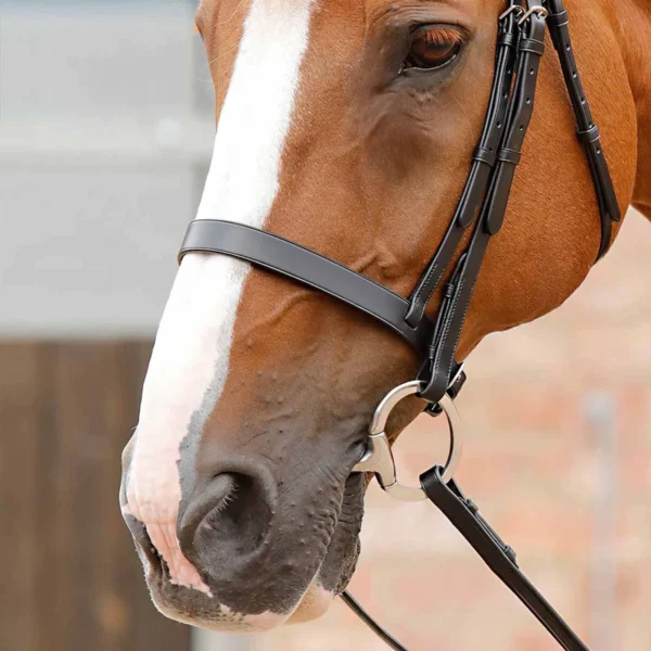 Primo Hunter Cavesson Noseband Black/Brown