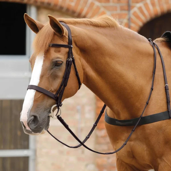 Salvatore Rubber & Leather Grip Reins Black/Brown