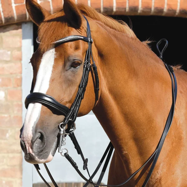 Senado Plain Leather Reins F (54") Black
