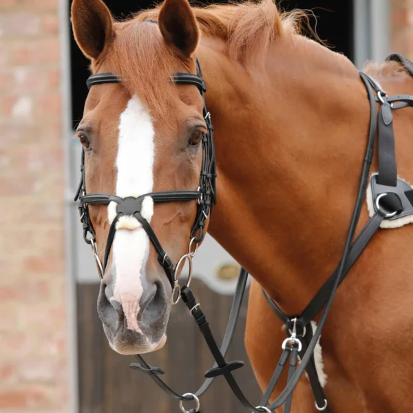 Stefano Rubber Reins Black/Brown